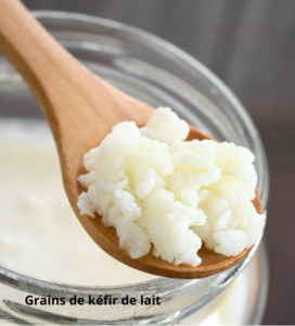 Kéfir de lait de coco